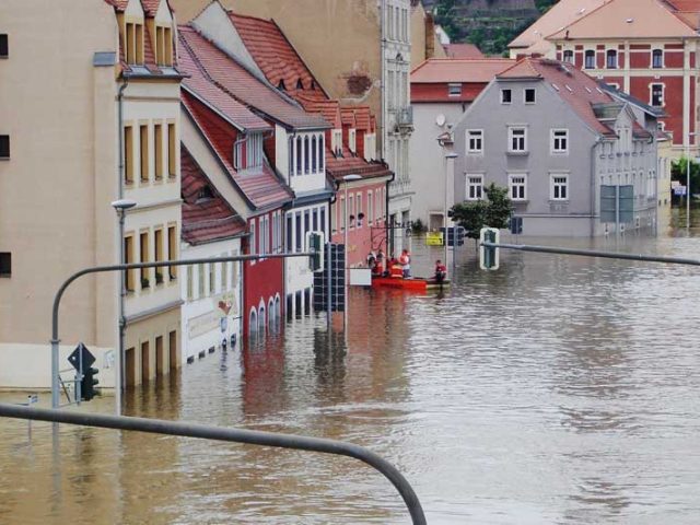 Nemoreport. Jak ušetřit čas při prověřování nemovitosti